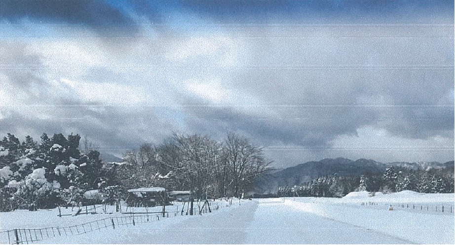 アイキャッチうづら庵