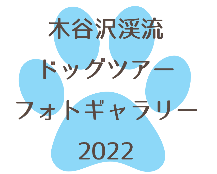 アイキャッチドッグツアー